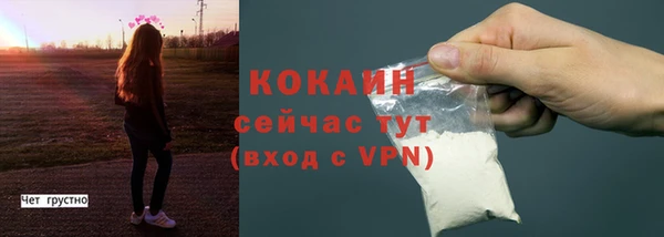 бошки Белокуриха