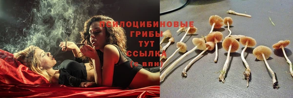 СК Белоозёрский