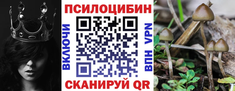 Псилоцибиновые грибы мухоморы магазин продажи наркотиков Великий Устюг